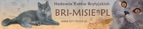 BRI-MISIE*PL